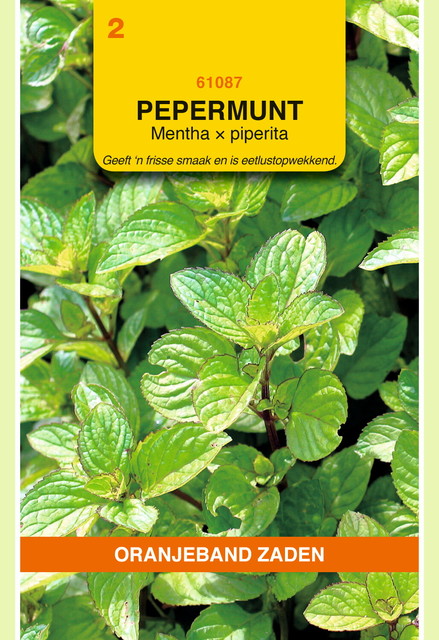 OBZ Pepermunt - afbeelding 1