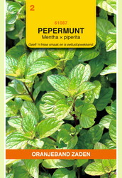 OBZ Pepermunt - afbeelding 1