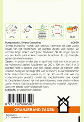 OBZ Pompoenen Sweet Dumpling - afbeelding 2