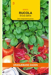 OBZ Rucola Gewone - afbeelding 1