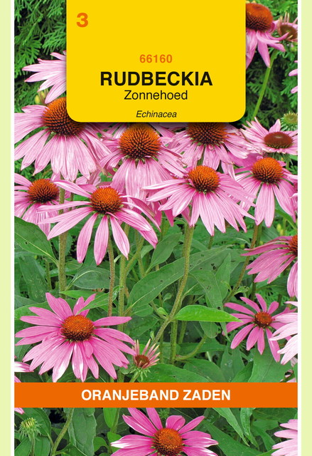 OBZ Rudbeckia, Zonnehoed Echinacea - afbeelding 1