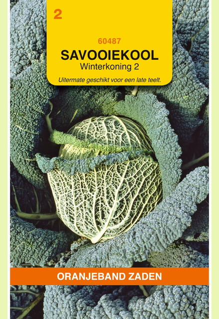 OBZ Savooiekool Winterkoning 2 - afbeelding 1