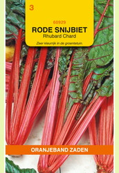 OBZ Snijbiet Rhubarb Chard - afbeelding 2