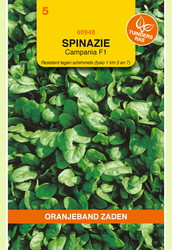 OBZ Spinazie Campania F1, 15g - afbeelding 2