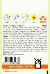 OBZ Tagetes, Afrikaan Pumila kleinbloemig, oranje - afbeelding 2