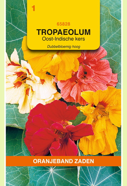 OBZ Tropaeolum, Oost-Indische kers dubbelbloemig hoog - afbeelding 1