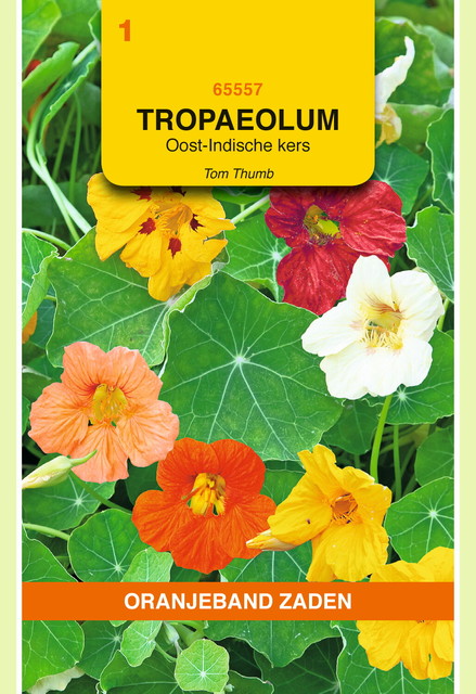 OBZ Tropaeolum, Oost-Indische kers Tom Thumb enkelbl.gemengd - afbeelding 1