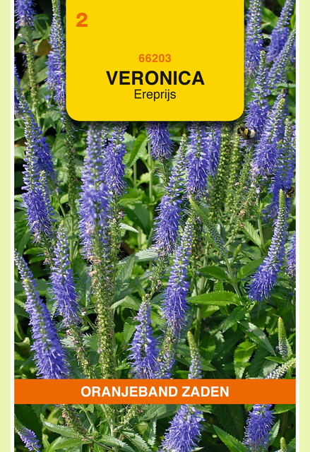 OBZ Veronica, Ereprijs, blauw - afbeelding 1