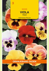 OBZ Viola, Viool Aalsmeerse Reuzen gemengd - afbeelding 2