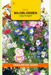 OBZ Wildbloemen mengsel eenjarig, laag - afbeelding 2