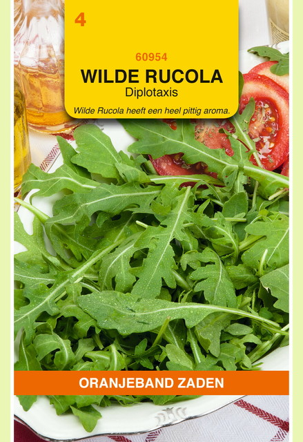 OBZ Wilde Rucola - Diplotaxis - afbeelding 1