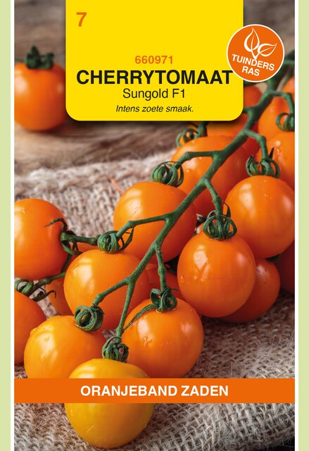 OBZ Zaden cherry tomaat sungold