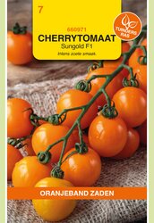 OBZ Zaden cherry tomaat sungold