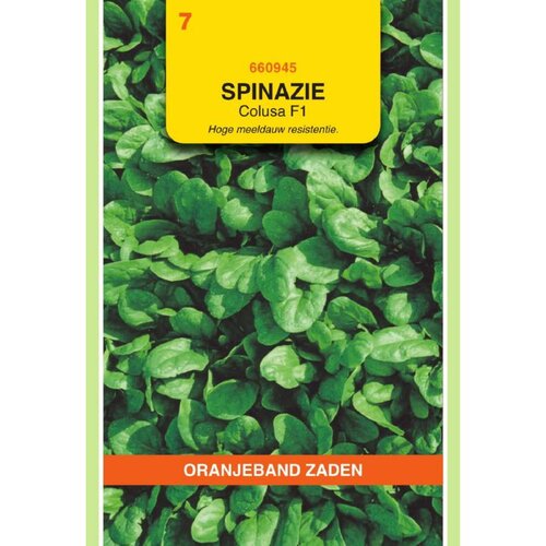 OBZ Zaden spinazie colusa f1 25g