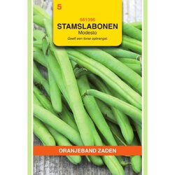 OBZ Zaden stamslabonen modesto 25g