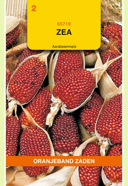 OBZ Zea, Aardbeienmais - afbeelding 1