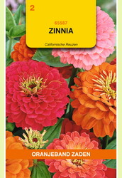 OBZ Zinnia Californische Reuzen gemengd - afbeelding 1