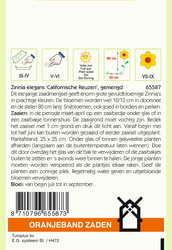 OBZ Zinnia Californische Reuzen gemengd - afbeelding 2