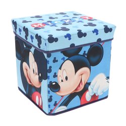 Opberg box mickey mouse