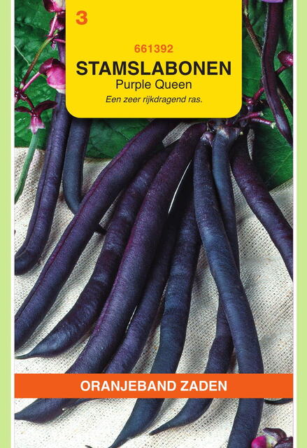 Oranjeband Zaden stamslabonen purple queen 25g