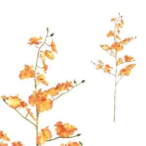 PTMD Orchid Flower Orange dancing orchid spray