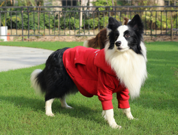 Overige accessoires honden