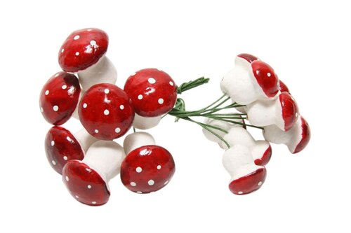 Paddestoel ass o/w rood 17st