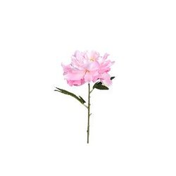 PTMD Peony Flower Light Pink peony stem short