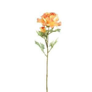 PTMD Peony Flower orange with bud