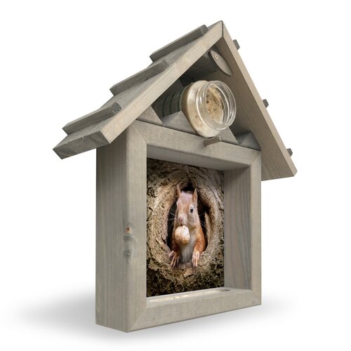 Ph Eekhoorn Met Walnoot M 40X35Cm