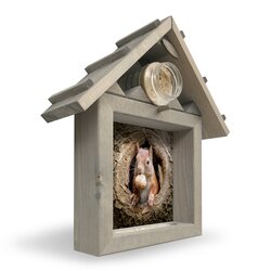 Ph Eekhoorn Met Walnoot M 40X35Cm