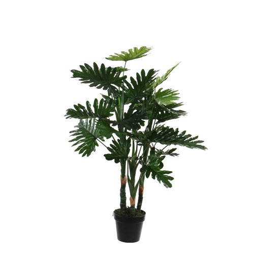 Mica Philodendron in plastic pot groen H100cm