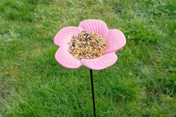 Pieter Pik Voederschaal op steker malva l75cm | voeder bloem - afbeelding 2