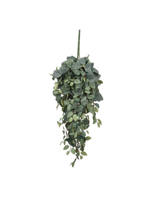 Pilea hangend groen - l70xb30xh20cm