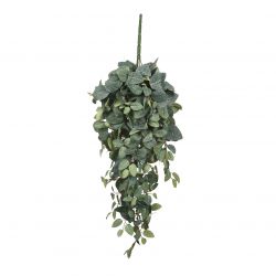 Pilea hangend groen - l70xb30xh20cm