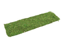 Plaat mos d58b18cm groen