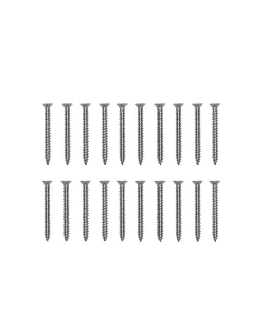 Platinum Schroeven 20x, RVS