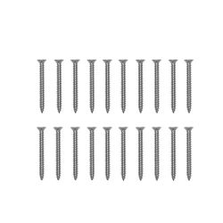 Platinum Schroeven 20x, RVS