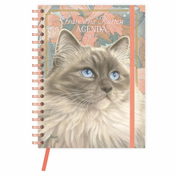 Plenty gifts Agenda 27 franciens katten blue