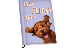 Plenty gifts Agenda 27 is it friday yet pg