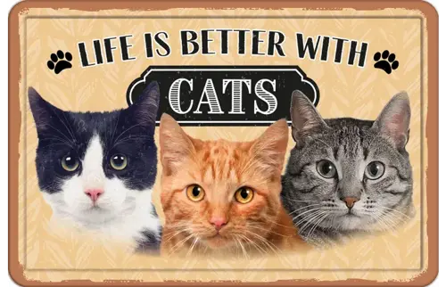 Plenty gifts Bord blik a4 better with cats (h)