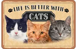 Plenty gifts Bord blik a4 better with cats (h)