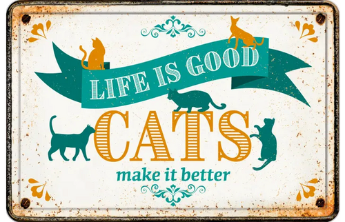 Plenty gifts Bord blik a4 cats make better (h)