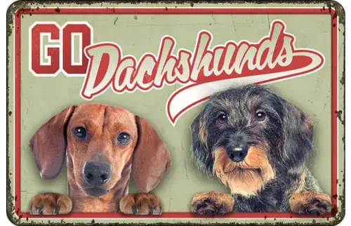 Plenty gifts Bord blik a4 go dachshunds (h)