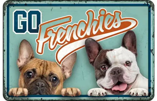 Plenty gifts Bord blik a4 go frenchies (h)