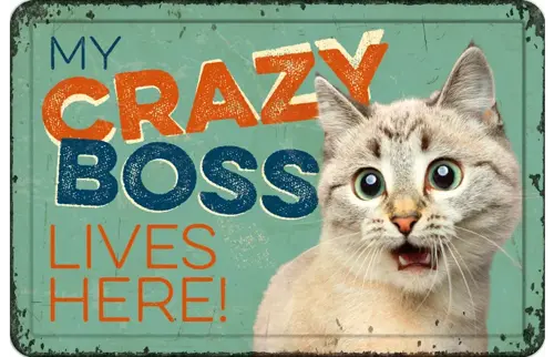 Plenty gifts Bord blik a4 my crazy boss (h)