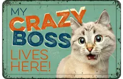 Plenty gifts Bord blik a4 my crazy boss (h)