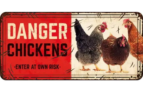 Plenty gifts Bord blik hl danger chickens