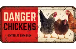 Plenty gifts Bord blik hl danger chickens
