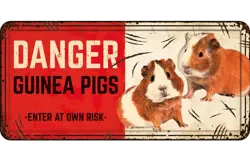 Plenty gifts Bord blik hl danger guinea pigs